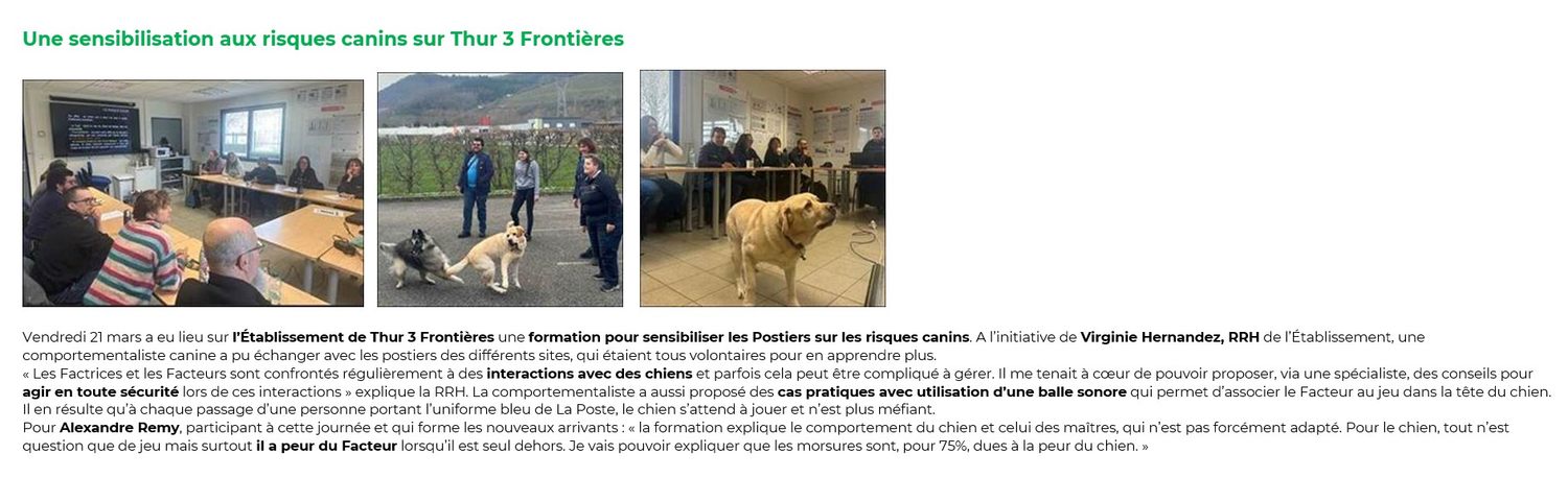 Comportementaliste canin - Prestations pour les entreprises